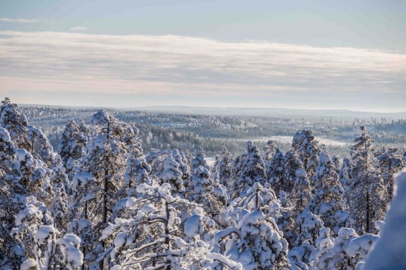 Levi: Explore the Wilderness - Important Tour Information
