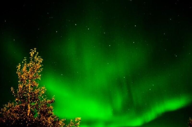 Levi: Northern Lights Hunt Including Campfire Snacks - Important Information