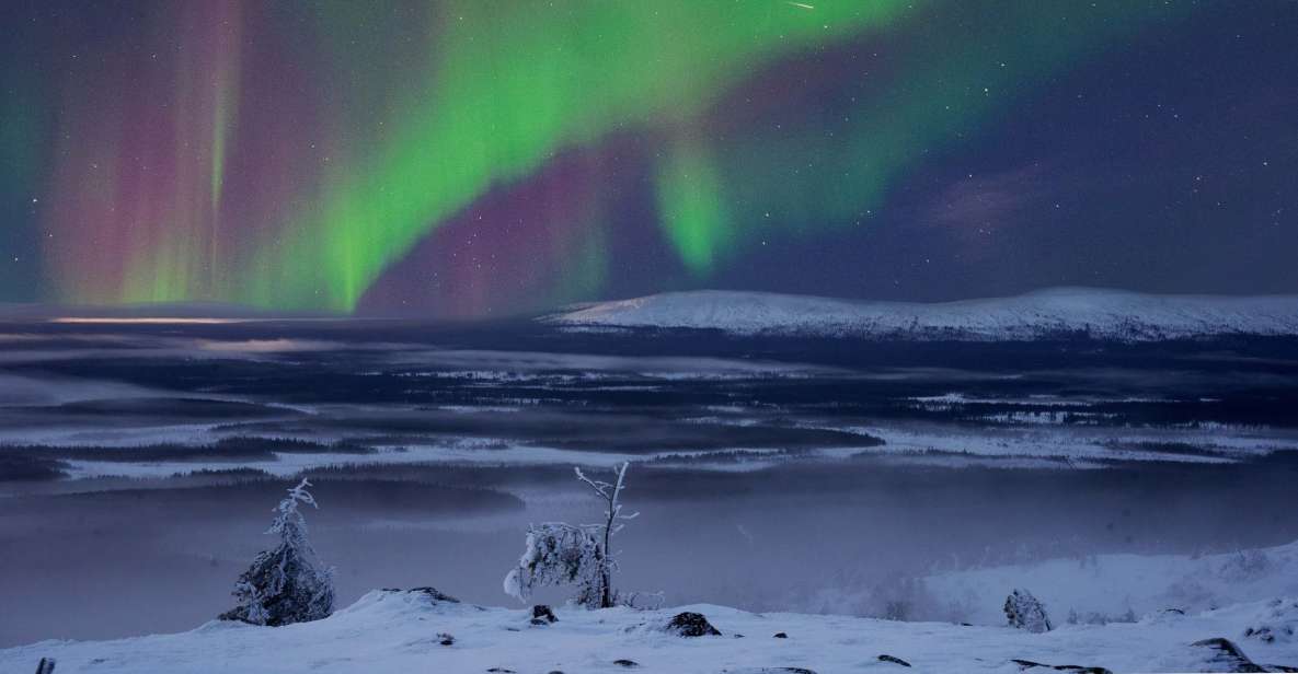 Levi: Northern Lights Hunting - Photography Tour - Unique Selling Points