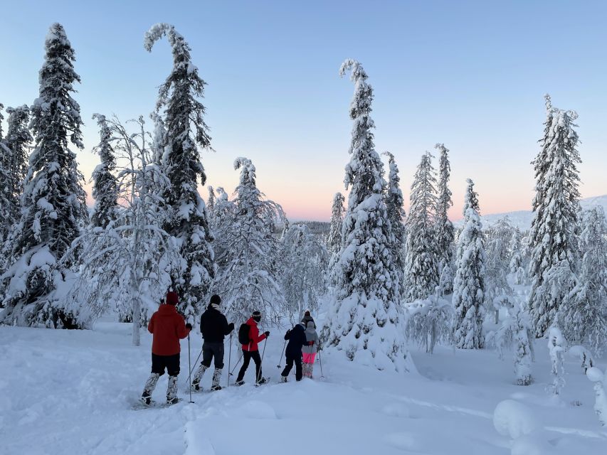 Levi: Pallas-Ylläs National Park Snowshoeing Tour - Customer Reviews and Ratings