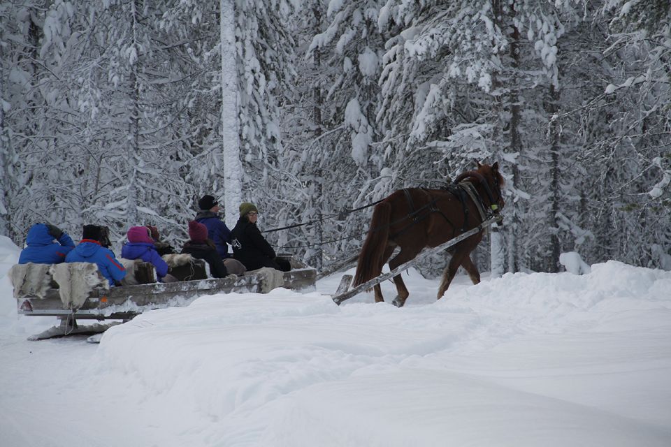 Levi, Polar Lights Tours: One Horse Open Sleigh Ride - Accessibility Features