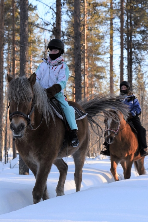 Levi: Snowy Forest Ride and Polar Lights Tours - Inclusions and Amenities