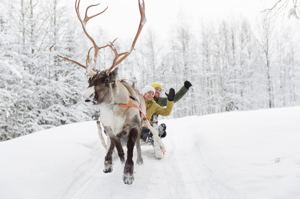 Levi: Traditional Reindeer Farm Visit & Sled Ride - Participant Information