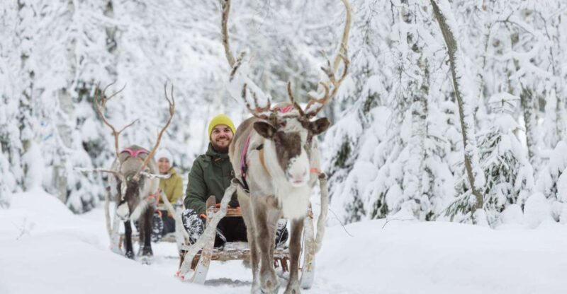 Levi: Winter Highlights Family Day With Snowmobile Safari - Customer Ratings and Feedback