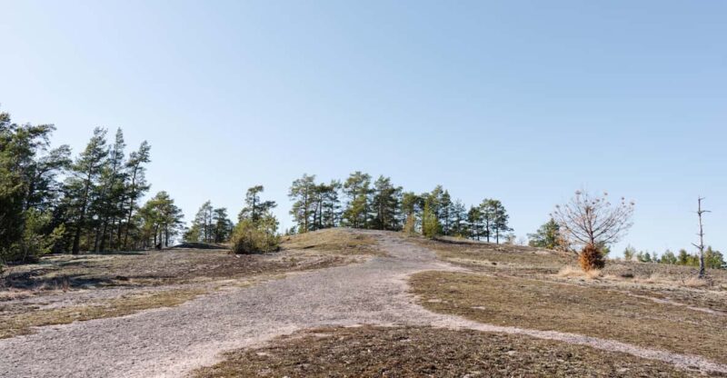 Linlo : Exclusive Day Tour on an Island - Inclusions