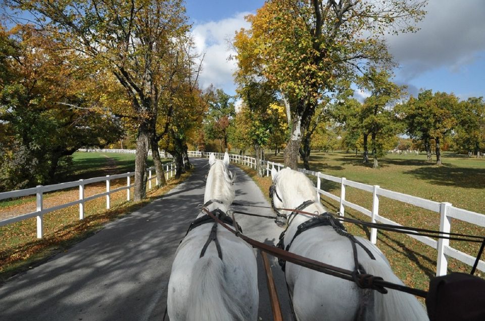 Lipica Stud Farm and ŠKocjan Caves From Trieste - Tour Inclusions