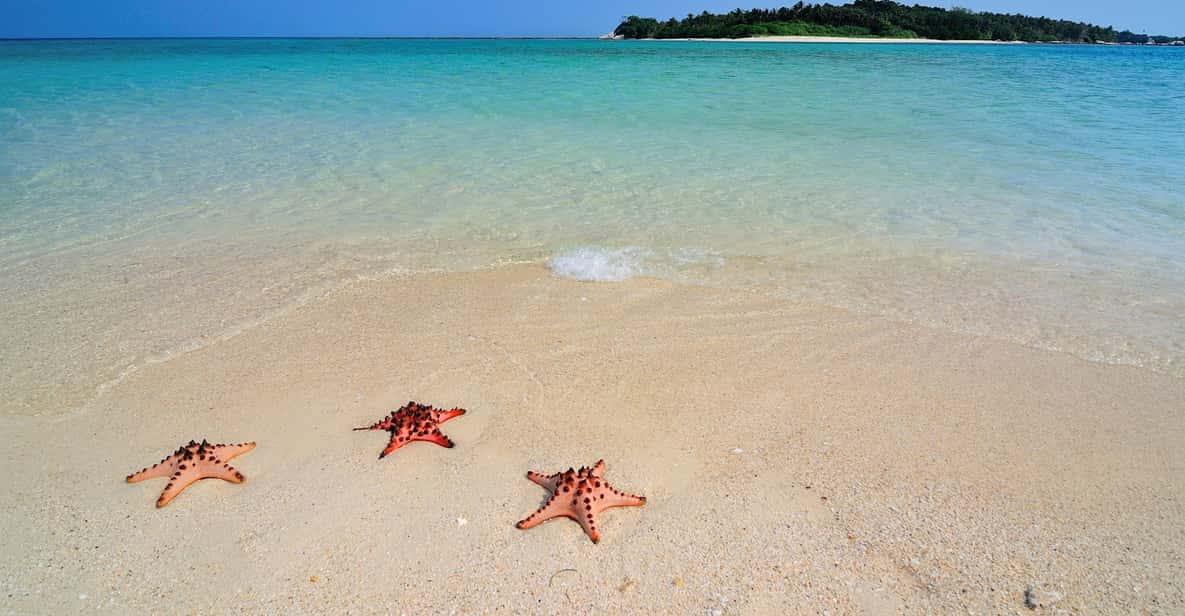 LITTLE BORACAY- CALATAGAN BATANGAS DAYTOUR (FROM MANILA) - Starfish Sandbar Exploration