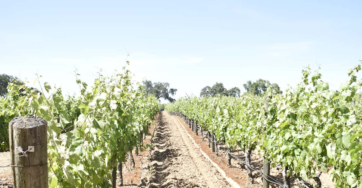 Lodi Wine Tasting Tour Private Customized 1 -14 Group - Inclusions and Exclusions