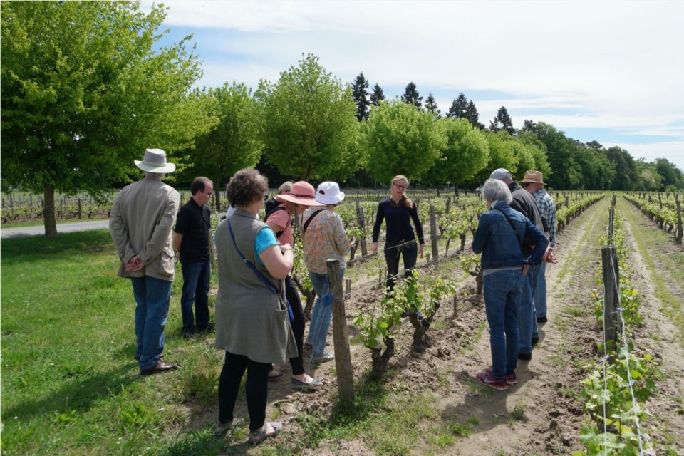 Loire Valley Tour & Wine Tasting Vouvray, Chinon, Bourgueil - Discovering Chinon