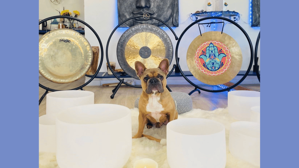 Los Angeles: Private Sound Bath & Reading for You & Your Dog - Important Information