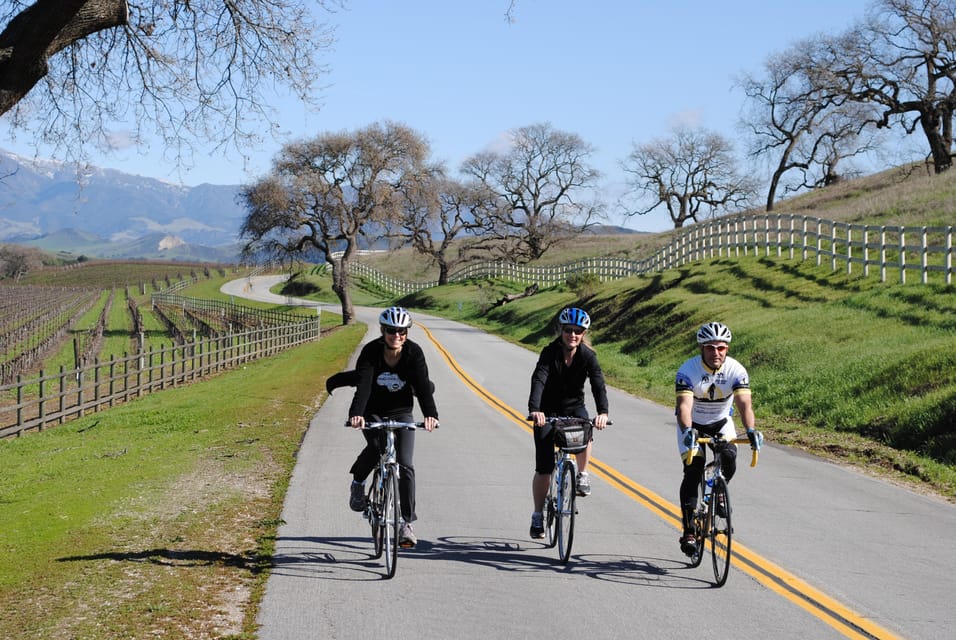 Los Olivos: E-Bike Tour + Vineyard Lunch With Wine Tasting - Whats Included