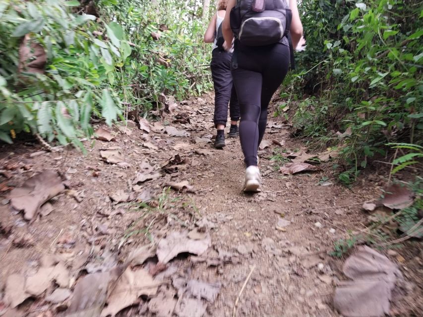 Luang Prabang: Hiking off the Beaten Track With Picnic Lunch - Preparation Tips