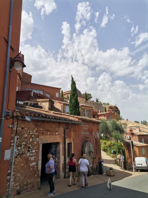 Luberon Wine and Charm: Explore the Flavors of the South - Culinary Delights of the South