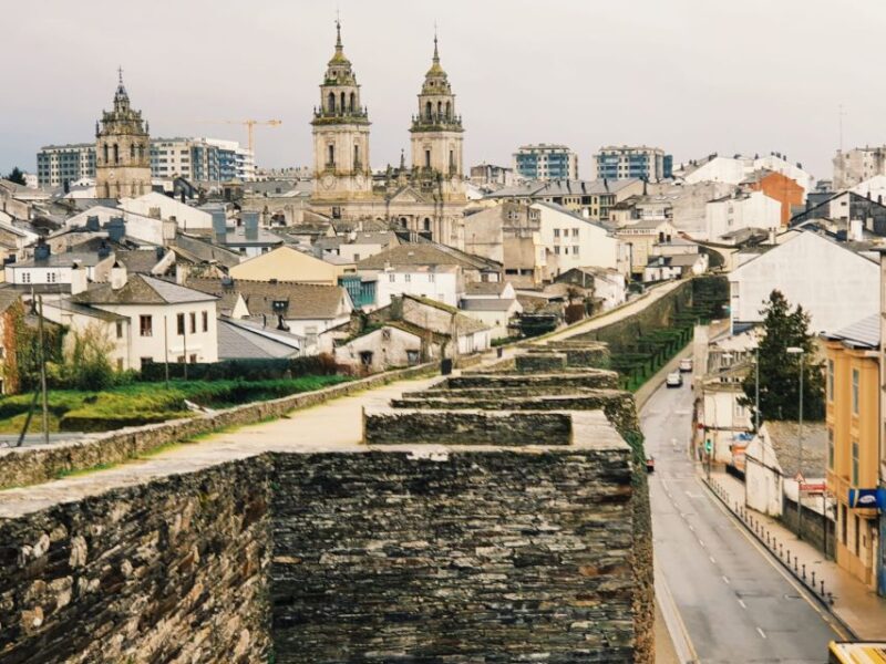 LUGO: Private Guided Walking Tour - Culinary Aspects