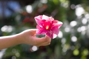 Lumeria Maui, Educational Retreat Center - Dining Experience