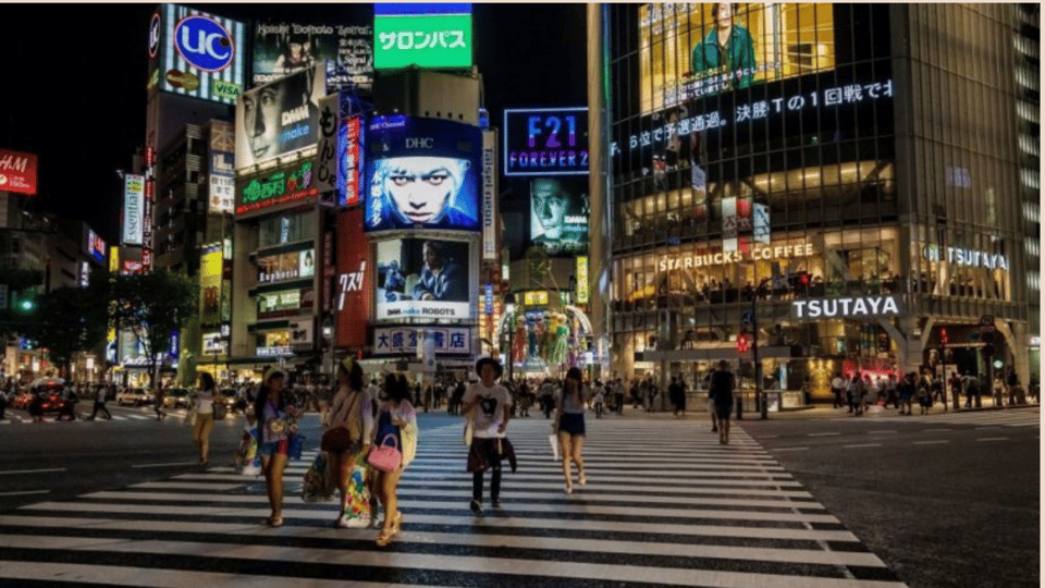 Luxe Travels: Private Tokyo Day Trip Itinerary - Tips for Travelers