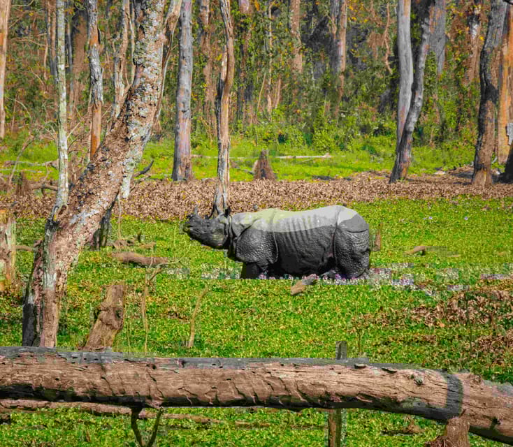 Luxury Tour in Nepal - What to Bring