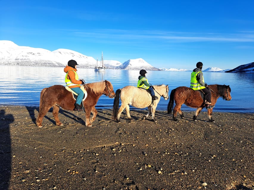 Lyngen Horseback Winter Riding Experience - Horse Care Activities