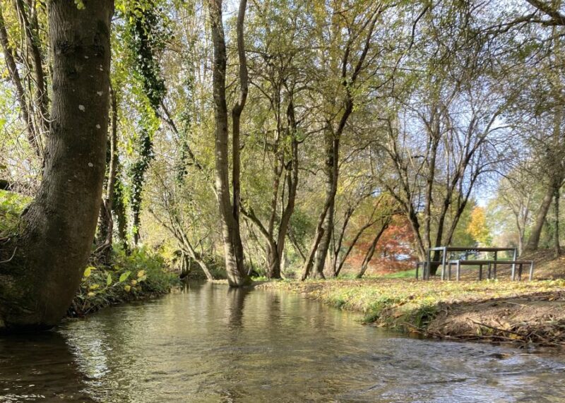 Lyon: Self-Guided Hike off the Beaten Track (Train & Picnic) - Inclusions
