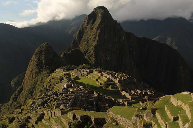 Machu Picchu Tour From Cusco Full Day - Traveler Experience and Reviews