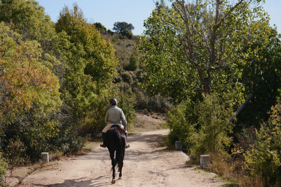 Madrid: Horse Riding in Sierra Del Guadarrama National Park - Customer Reviews