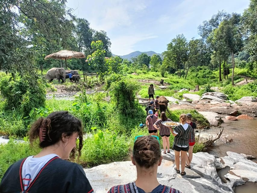 Maewang, Chiangmai: Elephant Jungle Park Day Tour - Important Information