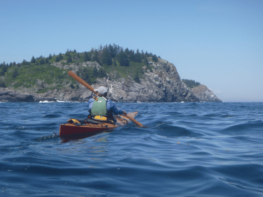 Maine: Penobscot River Guided Kayaking Tour - Guided Insights and Techniques