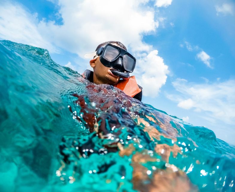 Maio: Reef Snorkeling - Itinerary