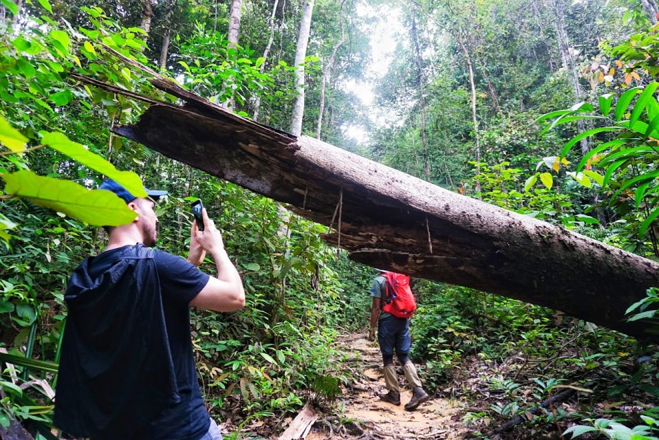 Malaysia: Gunung Panti Forest Reserve Guided Nature Tour - Preparation Tips