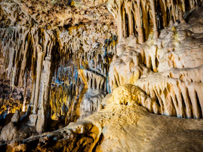 Mallorca: Caves of Hams and Dinosaurland Ticket With Pickup - Pickup and Language