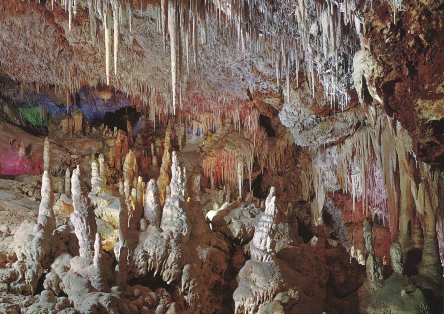 Mallorca: Day Trip to Caves of Hams & Optional Dinosaurland - Inclusions and Additional Activities