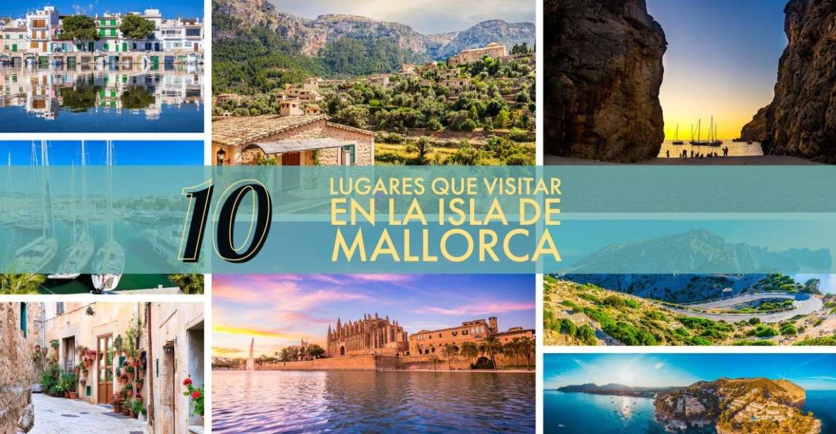 Mallorca Highlights Tour: Palma City, Tapas, Bazaar, Beach - Duration and Price