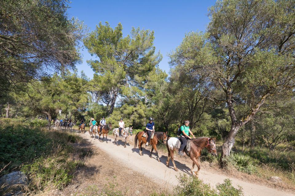 Mallorca: Horseback Riding Excursion and Wine Tasting - About the Local Products