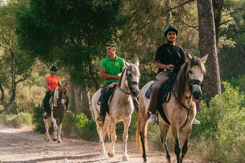 Mallorca: Horseback Riding Experience With Food Options - Pickup and Location