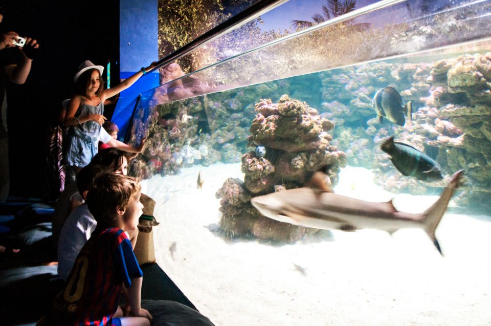 Mallorca: Palma Aquarium Entry Ticket W/ Optional 3D Cinema - Visitor Information