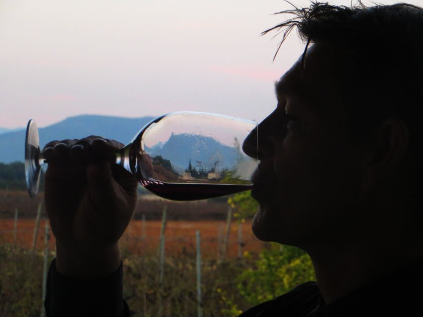 Mallorca: Wine Cellar Tour XL - 3 Wine Tastings Including GERMAN - Inclusions and Exclusions