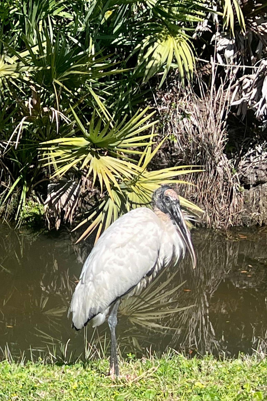 Manatee and Nature Tour of Ormond Beach - Meeting Point