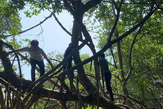 Mangrove Adventure - Customer Reviews and Ratings