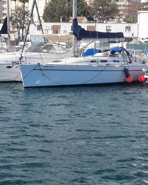 Marbella: Dolphin-Watching Sailboat Trip With Drinks, Snacks - Customer Feedback and Ratings