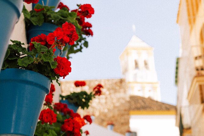 Marbella Old Town: Private Walking Tour - Cultural Insights