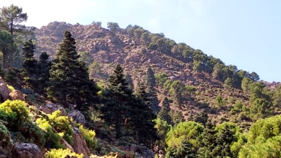 Marbella: Sierra De Las Nieves National Park Hiking Day Trip - Educational Highlights