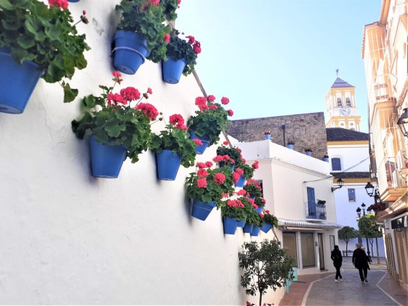 Marbella: Sightseeing Walking Tour - Participant Information
