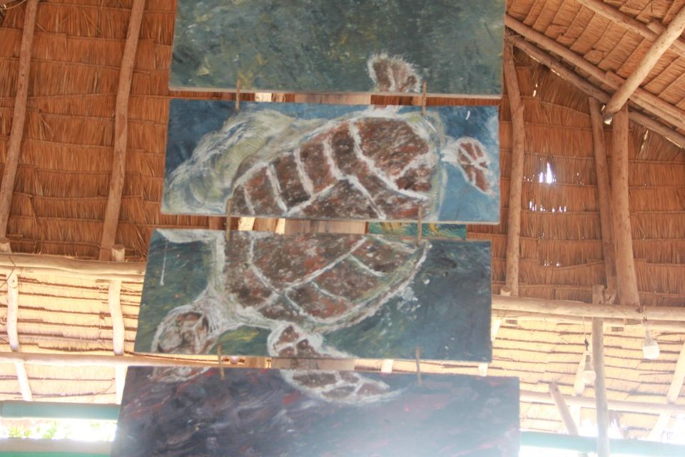 MARINE CONSERVATION INSIGHT by Discovery Center, Kep West - Inclusions and Amenities