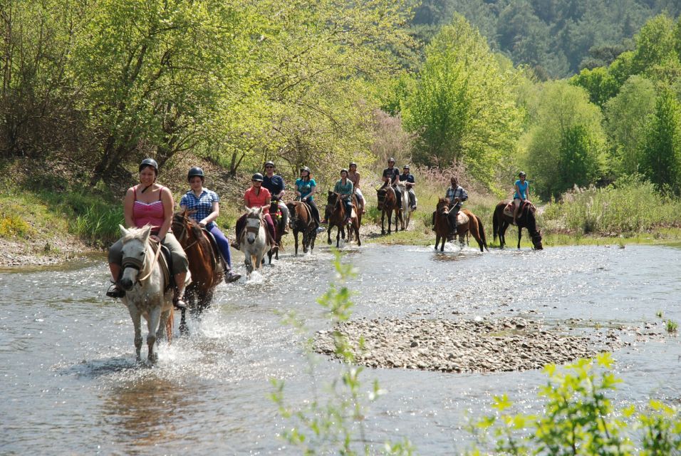 Marmaris National Park: Horse Safari - Age and Participation Guidelines