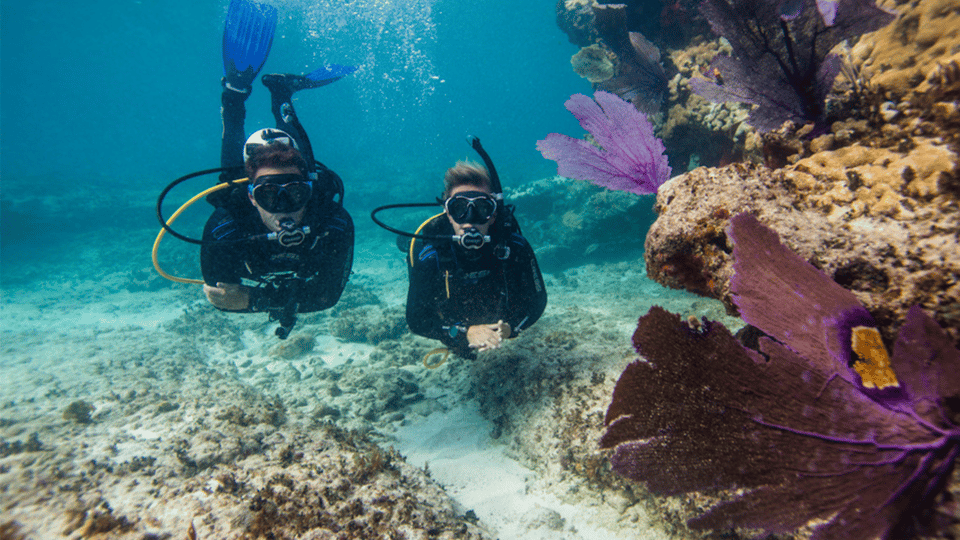 Marmaris: Scuba Diving Experience - Booking Options