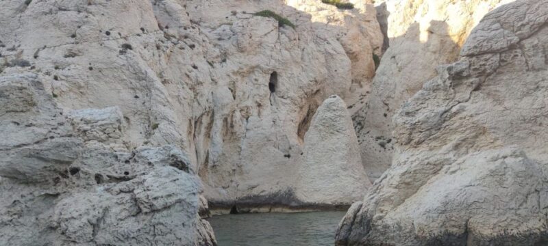 Marseille: Cruise to the Island of Frioul & Chateau Dif - Tips for a Great Trip