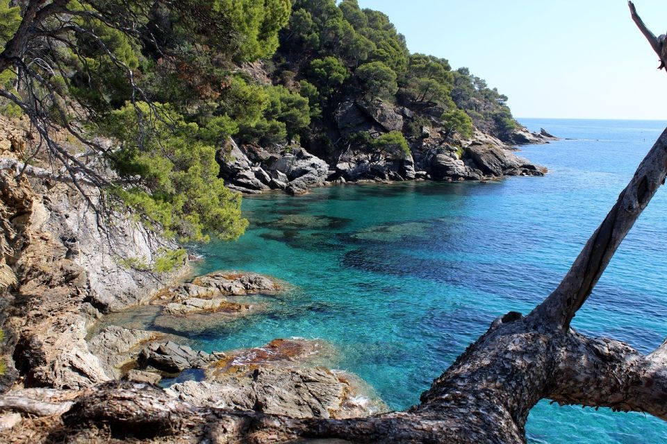 Marseille: Day Boat Ride in the Calanques With Wine Tasting - Culinary Delights on Board