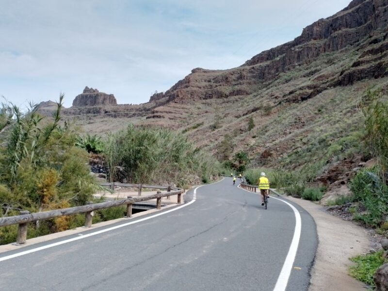 Maspalomas: Ayagaures E-Bike Mountain Tour Optional Tapas - Meeting Point and Requirements