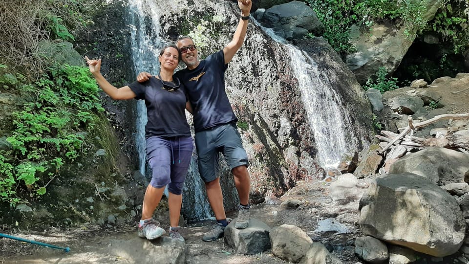 Maspalomas: Barranco De Los Cernicalos Rainforest Hike - Guided Tour Experience