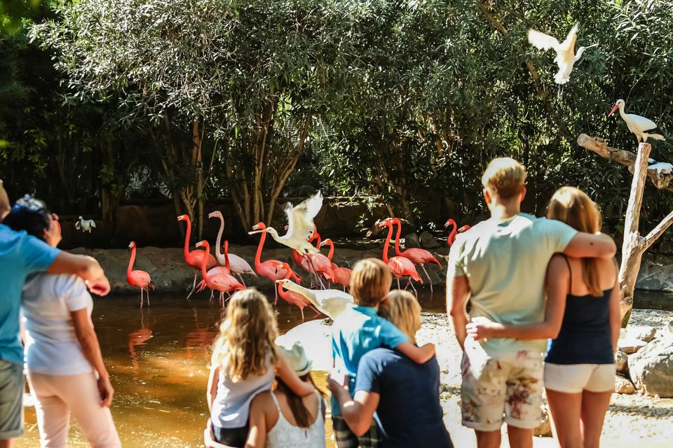 Maspalomas: Palmitos Park Ticket With Dolphin and Bird Shows - Other Attractions and Experiences